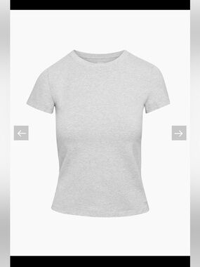 aritzia ortiz t-shirt in grey